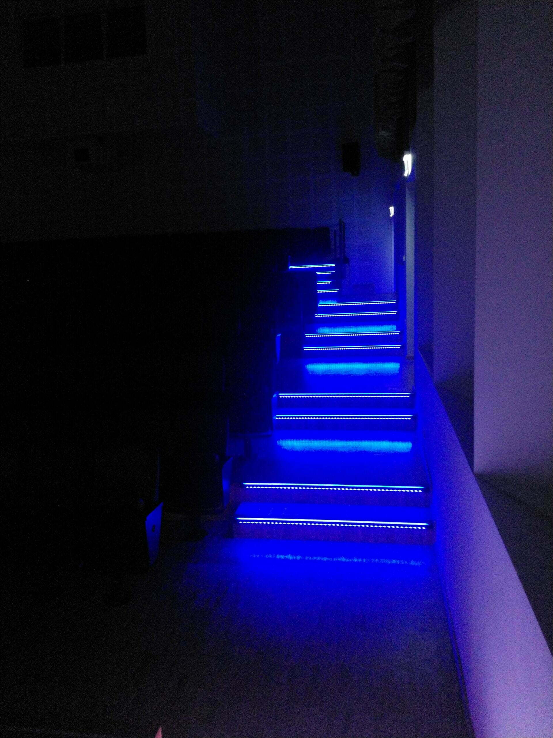 Blau beleuchteter Stufenaufgang im Orchesterzentrum NRW Dortmund